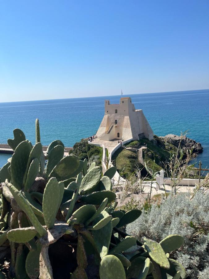 La Conchiglia Hotel Sperlonga Luaran gambar